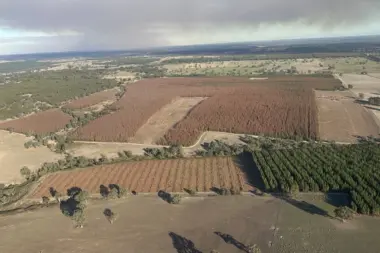 Diplodia plantations aircraft view