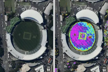SCG Turf