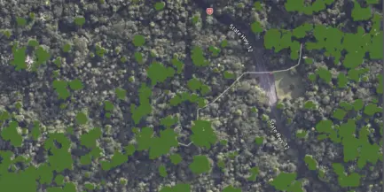 Kauri height strata Tane