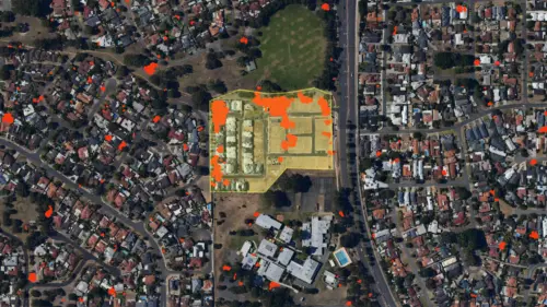 Canopy Loss Melville