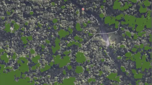 Kauri height strata Tane