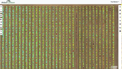 Citrus NDVI trees only
