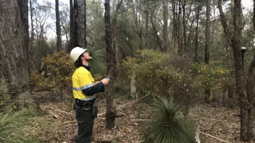 Nav carbon assessment