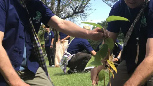 Paujl Bernie Bangkachao