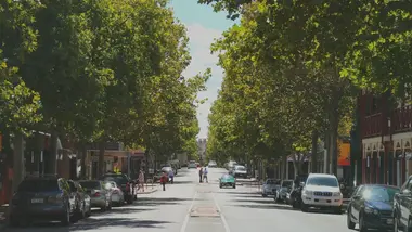 Freo