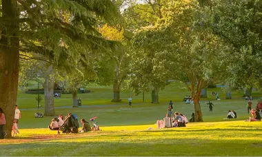 Park1