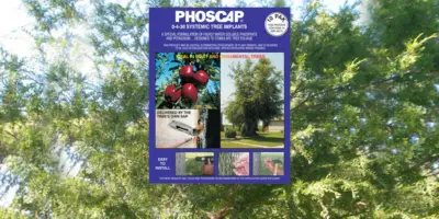 Product tree phoscap 1000x425 1005x423 2