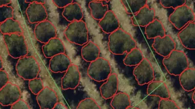 WAPRES crown delineation