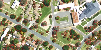 ACT Tree Crown Deliniation