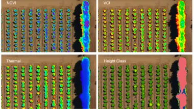 Citrus composite Feb 2019