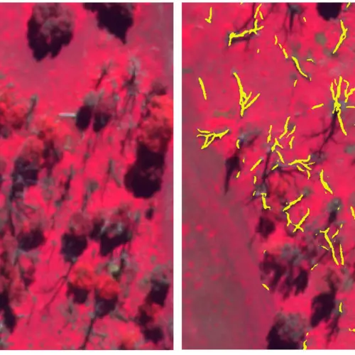 Deadwood detection FCC split 2