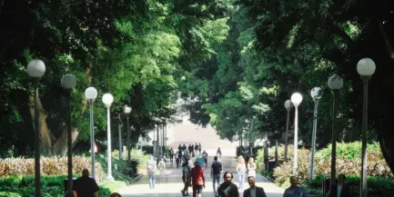 Pexels d ng nhan 324384 15707629