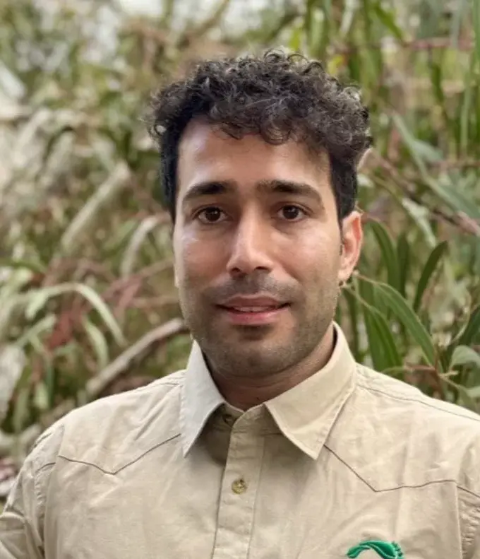 Matt ghazi